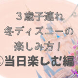 3歳子連れ冬ディズニーの楽しみ方②当日楽しむ編！