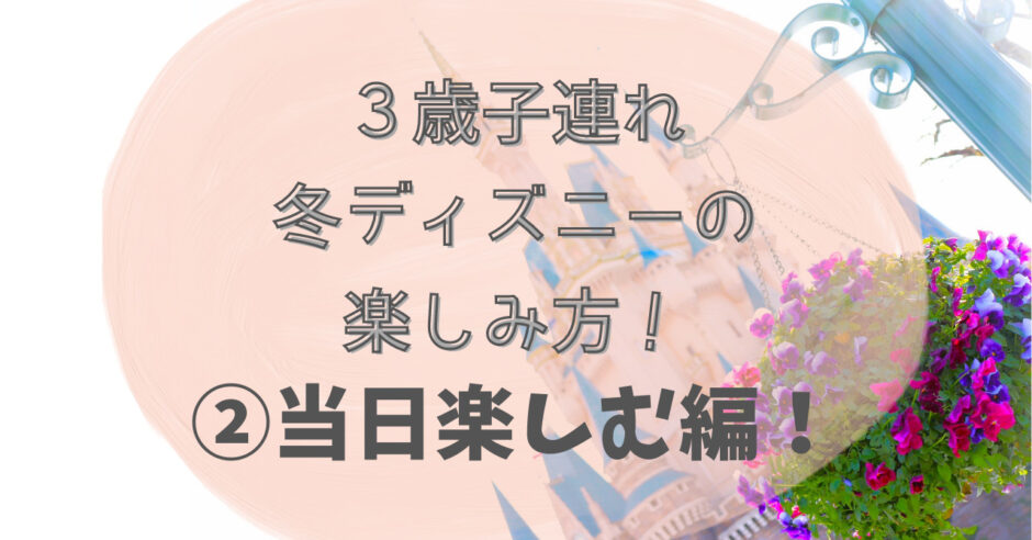 3歳子連れ冬ディズニーの楽しみ方②当日楽しむ編！